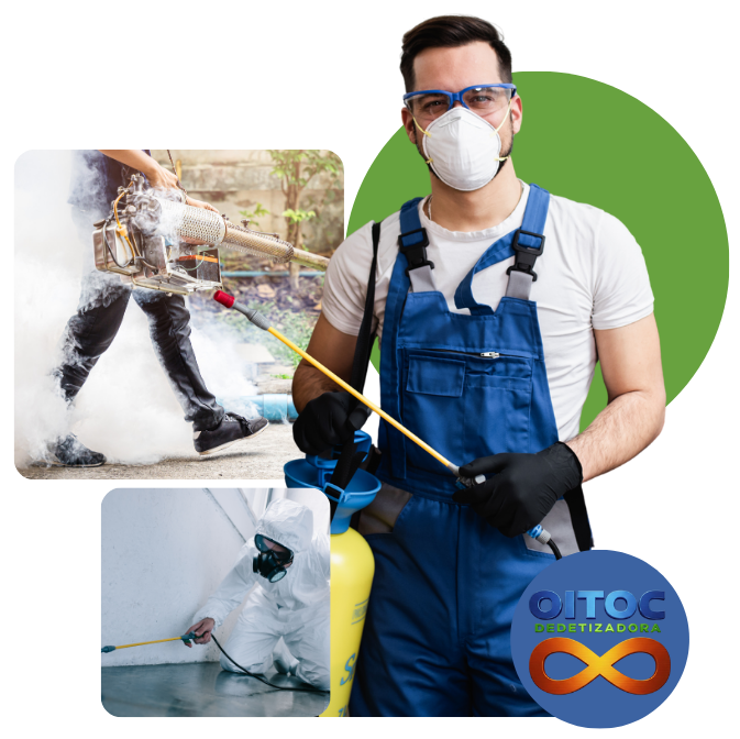 Imagem da aplicação