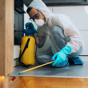 Desentupidora de Pia