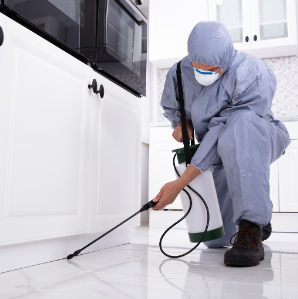 Desentupidora de Ralo